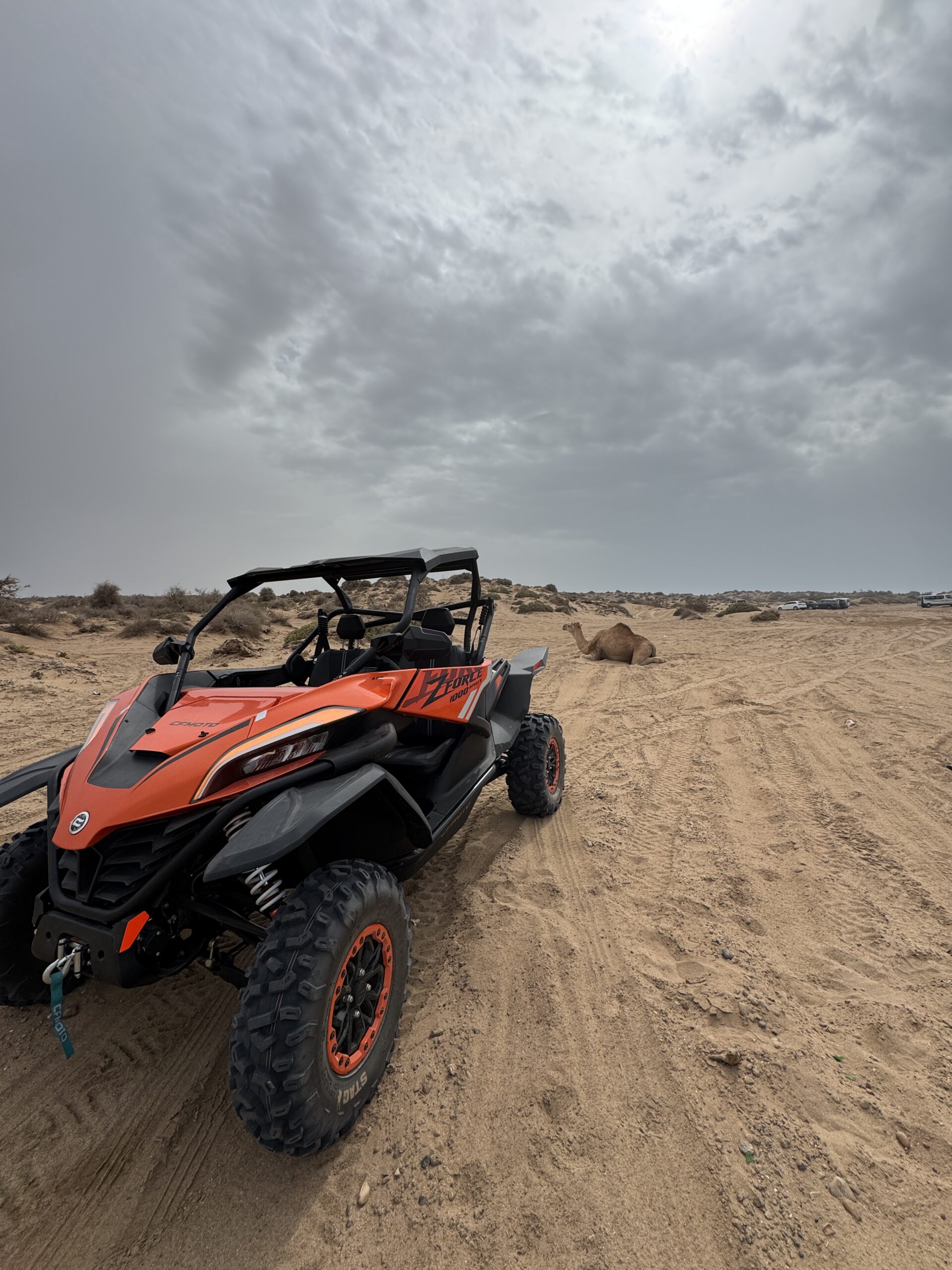 1-Hour 1000cc Buggy Ride Through Essaouira Trails – Tour for Two people